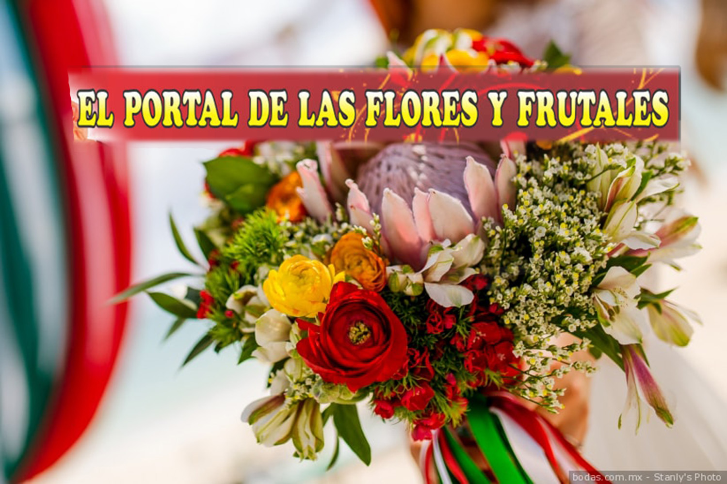 EL PORTAL DE LAS FLORES Y FRUTALES
